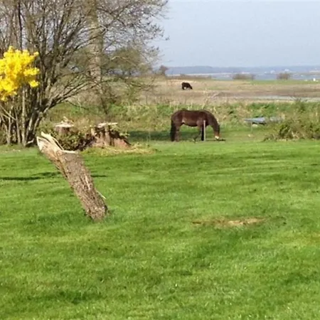 Holiday home Margareta - 250m To The Inlet In Sealand By Interhome Praesto